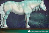Horse Color:Watercolor White Spotted Silver Blue Onyx Chinchilla Ice Sabino Rabicano  Brindle