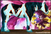 Horse Color:Gray Thunderstruck White Spotted Palomino Appaloosa Rabicano 