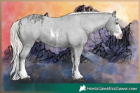 Horse Color:Liver Chestnut Mushroom Sabino Splash Varnish  and Liver Chestnut Mushroom Sabino Splash Varnish 