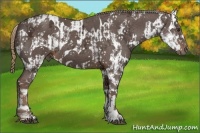 Horse Color:Liver Chestnut Ice Sabino Splash and Liver Chestnut Ice Sabino Splash