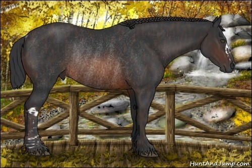 Horse Color:Brown Rabicano Brindle