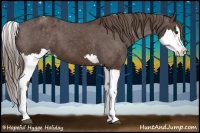 Horse Color:Liver Chestnut Sabino Splash Blanket  and Liver Chestnut Sabino Splash Blanket 