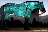 Horse Color:ERROR: UNKNOWN ANOMALY Brindle