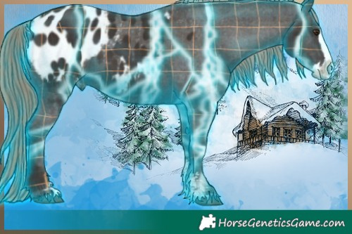 Horse Color:Thunderstruck Plaid  Liver Chestnut Sabino Splash Appaloosa  Brindle