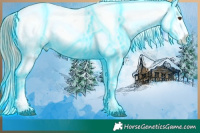 Horse Color:Thunderstruck Plaid Liver Chestnut Sabino Splash Appaloosa Brindle