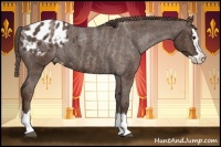 Horse Color:Liver Red Roan Sabino Splash Appaloosa  Brindle