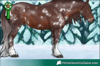 Horse Color:White Spotted Chocolate Brown  and White Spotted Chocolate Brown 