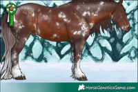Horse Color:White Spotted Chocolate Brown  and White Spotted Chocolate Brown 