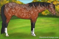 Horse Color:Brown Ice 