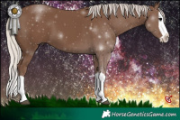 Horse Color:Silver Black Splash 