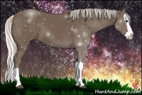 Horse Color:Silver Black Splash 