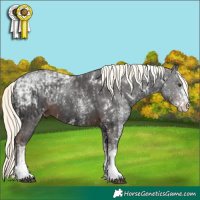 Horse Color:White Spotted Liver Chestnut Ice Mushroom and White Spotted Liver Chestnut Ice Mushroom