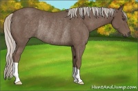 Horse Color:Silver Black Rabicano 