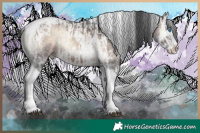 Horse Color:Brown Ice Onyx Sabino Splash Tobiano and Brown Ice Onyx Sabino Splash Tobiano