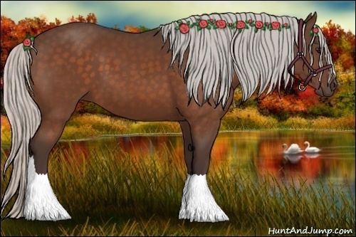 Horse Color:Silver Bay 