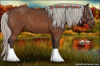 Horse Color:Silver Bay 