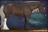 Horse Color:Silver Brown 