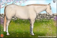 Horse Color:Buckskin Pearl Splash 