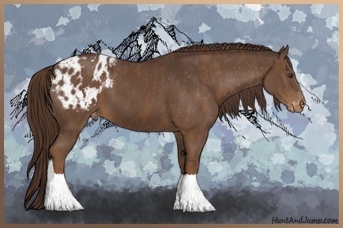 Horse Color:Liver Chestnut Sabino Splash Varnish Brindle