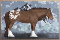 Horse Color:Liver Chestnut Sabino Splash Varnish Brindle