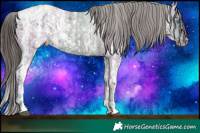 Horse Color:Liver Chestnut Ice Sabino Splash Appaloosa Rabicano and Liver Chestnut Ice Sabino Splash Appaloosa Rabicano