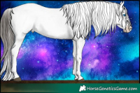 Horse Color:Liver Chestnut Ice Sabino Splash Appaloosa Rabicano  and Liver Chestnut Ice Sabino Splash Appaloosa Rabicano 