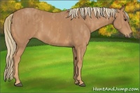 Horse Color:Chestnut Brindle