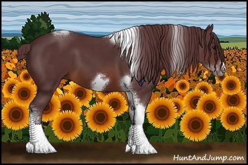 Horse Color:Chocolate Brown Tobiano Frame 