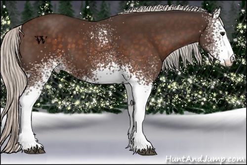 Horse Color:White Spotted Silver Brown