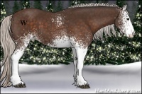 Horse Color:White Spotted Silver Brown