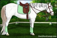Horse Color:Smoky Black Blanket