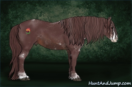Horse Color:Chocolate Brown Sabino 
