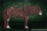Horse Color:Chocolate Brown Sabino