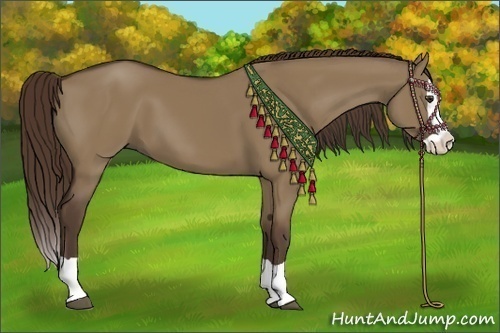 Horse Color:Liver Red Dun Splash 
