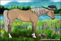 Horse Color:Silver Bay Dun
