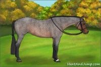 Horse Color:Brown Roan