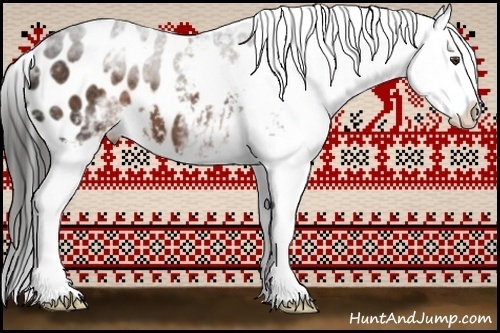 Horse Color:White Spotted Liver Chestnut Blanket 
