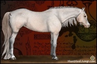 Horse Color:Buckskin Varnish 
