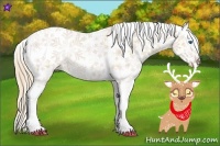 Horse Color:Gold Champagne Roan Dun Splash Tobiano Frame Blanket Rabicano 