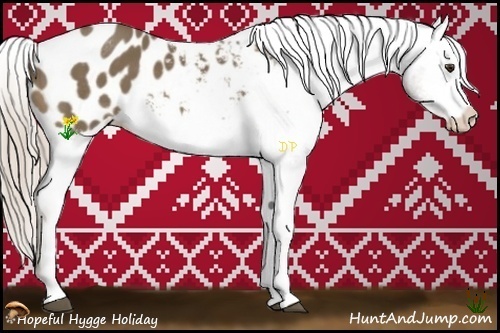 Horse Color:White Spotted Chocolate Palomino Blanket