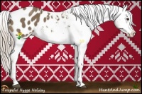 Horse Color:White Spotted Chocolate Palomino Appaloosa