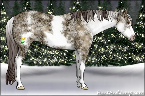 Horse Color:White Spotted Classic Champagne Ice Dun Frame 