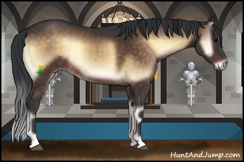Horse Color:Bay Onyx Rabicano 