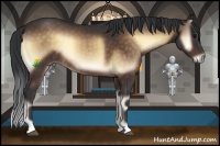 Horse Color:Bay Onyx Rabicano 