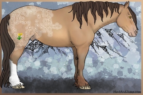 Horse Color:Amber Champagne Ice 