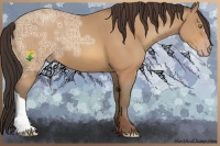 Horse Color:Amber Champagne Ice 