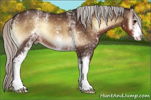 Horse Color:White Spotted Silver Brown Onyx 