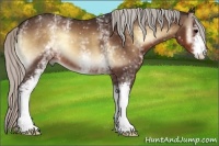 Horse Color:White Spotted Silver Brown Onyx 
