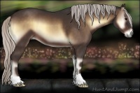 Horse Color:Silver Brown Onyx 