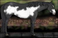 Horse Color:Black Frame 